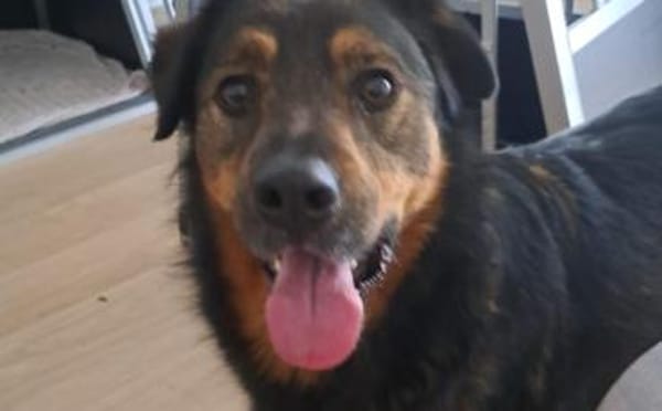 Verliebst du dich in Jana?