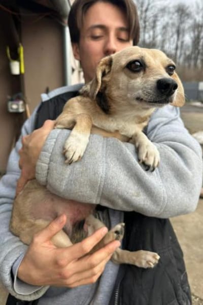 Sanfte ♥ Mirna ♥ in 67663 Kaiserslautern