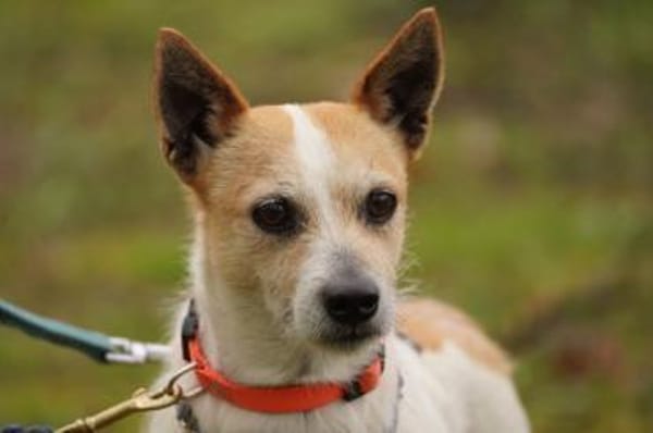 Teddy scht seine Familie