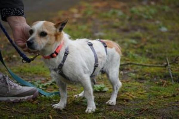 Teddy scht seine Familie