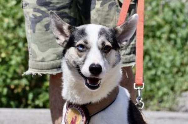 Unsere starke Kämpferin Salali