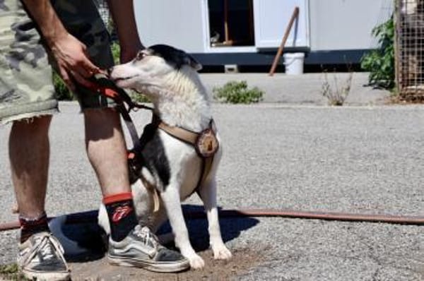 Unsere starke Kämpferin Salali