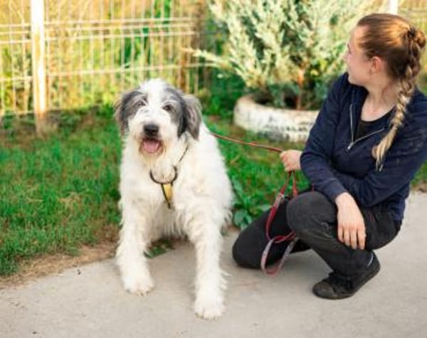 Schenkst du Carmen ein Zuhause?