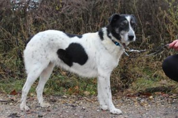 Wo sind Susus Menschen?