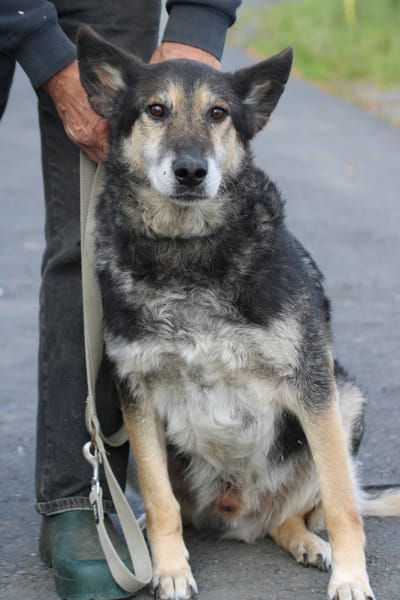 Meto - sehr zutraulich u. verschmust