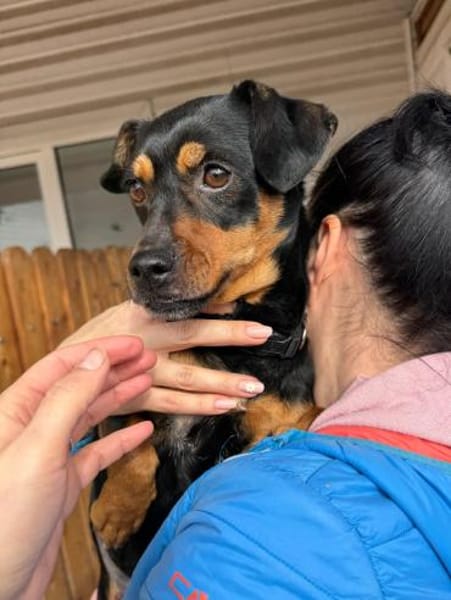 Liza sucht liebe Familie