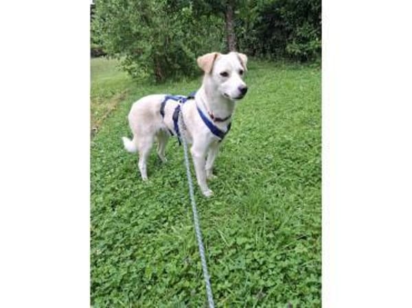 Nadirah - wartet in 35460 Staufenberg