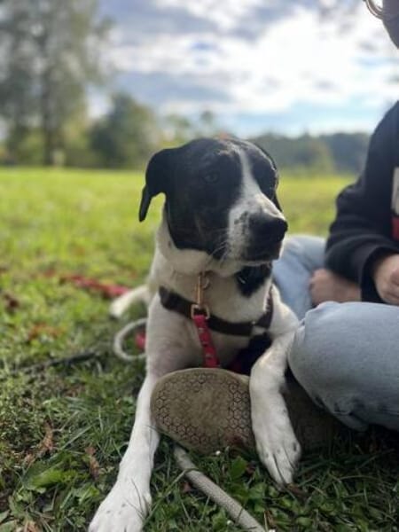 SAHIRA * sensibel und sanft