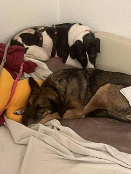 SAHIRA * sensibel und sanft