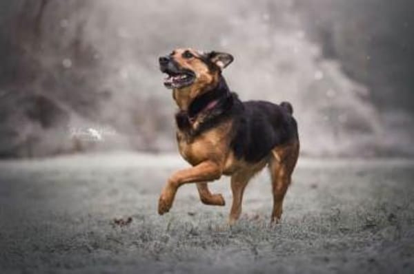 NORAH -aktiv & menschenbezogen-