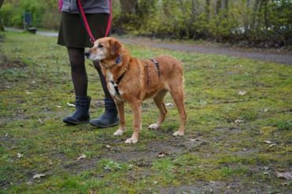 Kira sucht ihr Glück