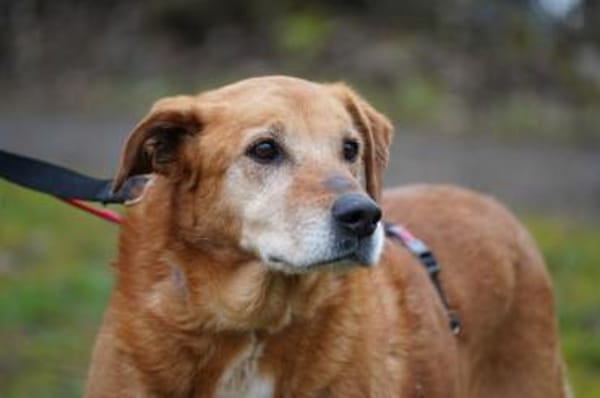 Kira sucht ihr Glück