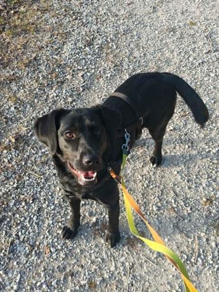 Monique sucht ihre Familie