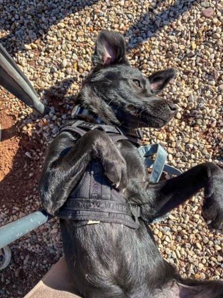 Monique sucht ihre Familie