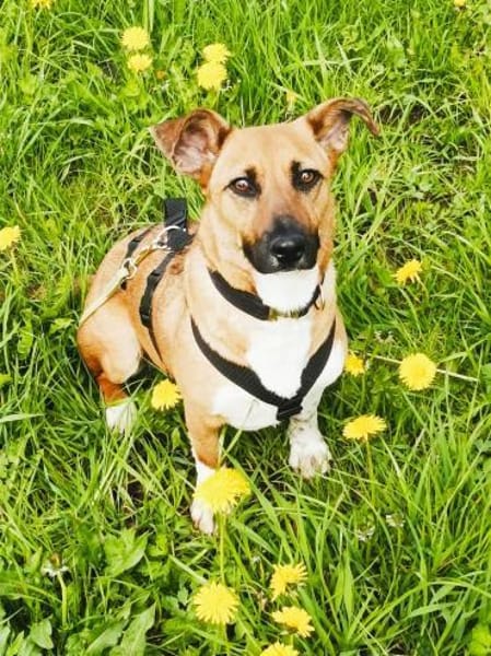 kleine liebe Katinka auf PS 91353