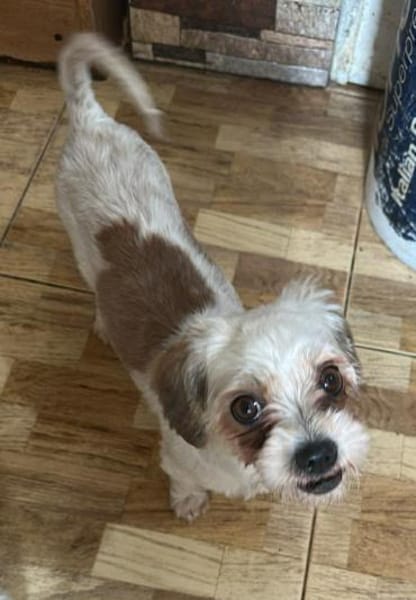 Gretchen klein, süß sucht Kuschelzuhause