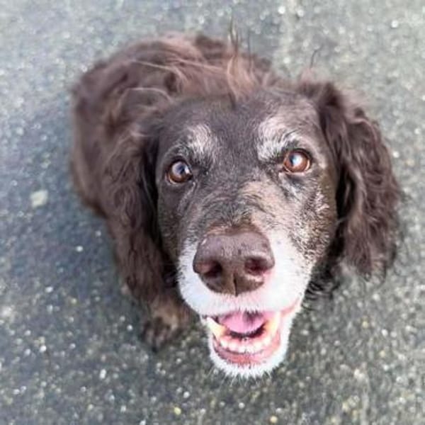 Nicki - ist freundlich&menschenbezogen