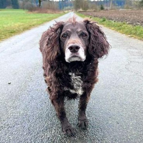 Nicki - ist freundlich&menschenbezogen
