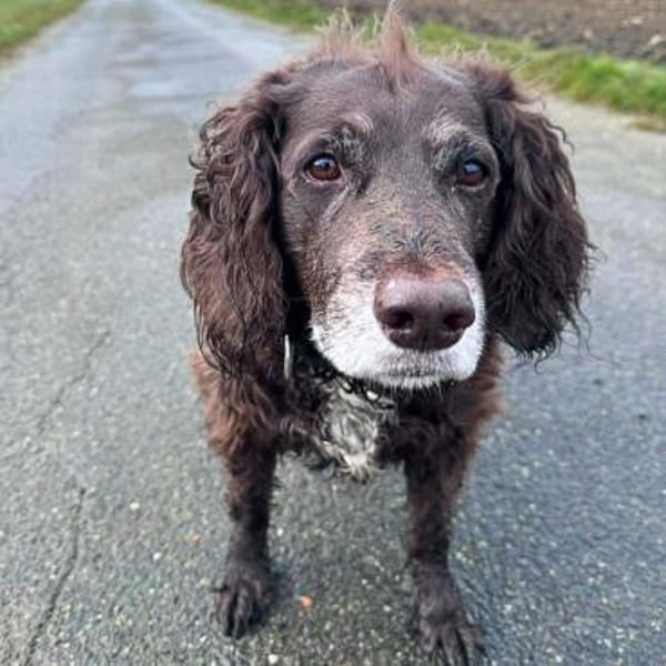 Nicki - ist freundlich&menschenbezogen