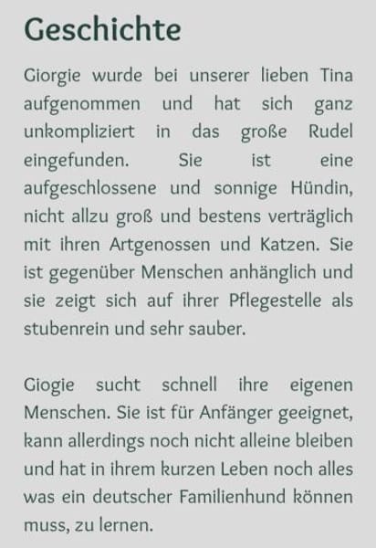 kleine Maus 🥰 sucht ein Zuhaus