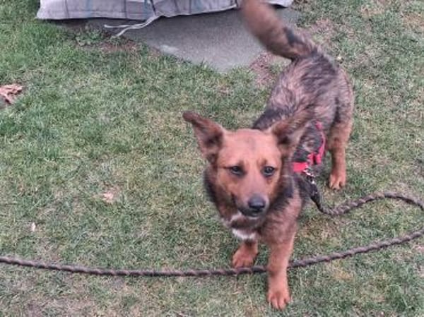 kleine süße Aurea auf PS in 91459