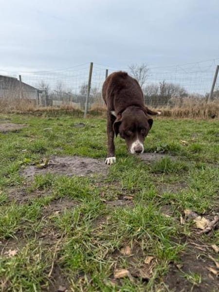 Linse sucht einen Einzelplatz