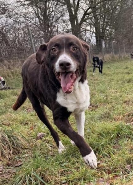 Linse sucht einen Einzelplatz