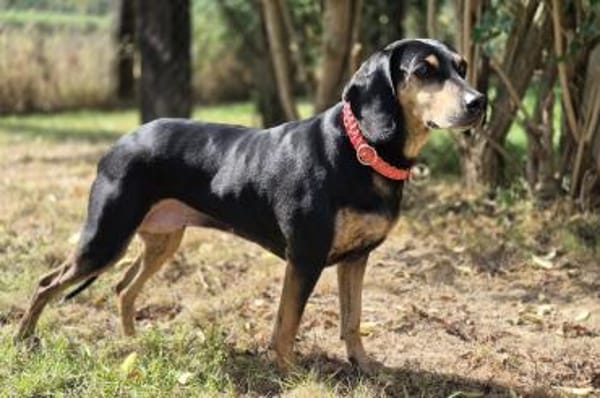 Bettina - wartet in 42859 Remscheid