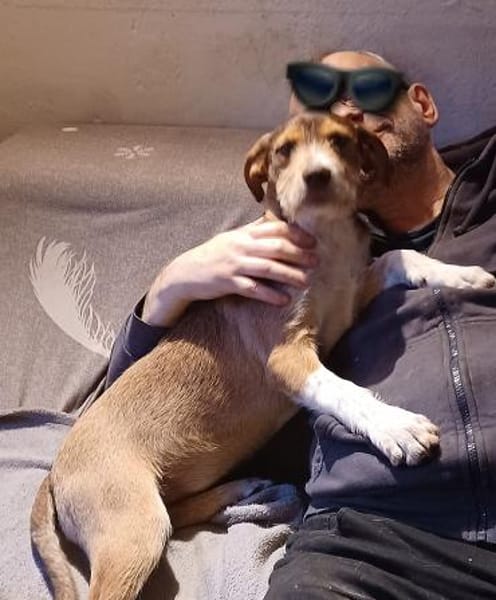 VALERIO 💛💛💛 kleiner Hundebub