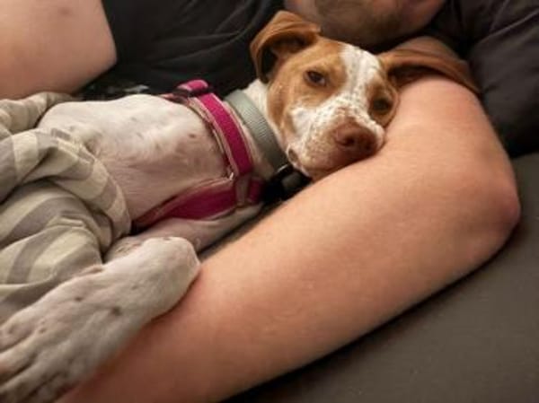 Hix möchte so gerne die Welt entdecken