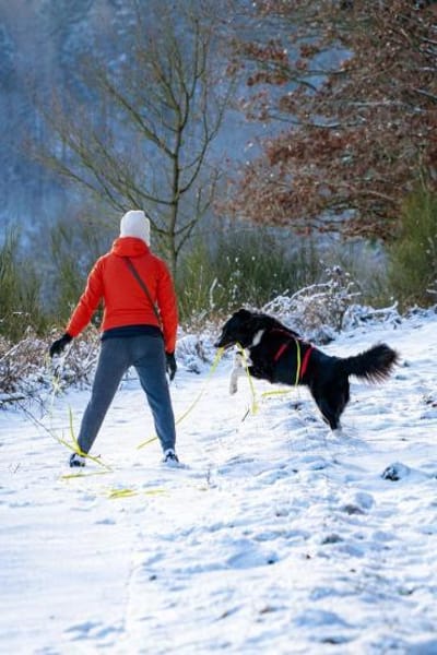 Fröhliche Zara wartet auf ihr Home