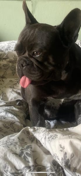 Zarina sucht ihren sicheren Hafen