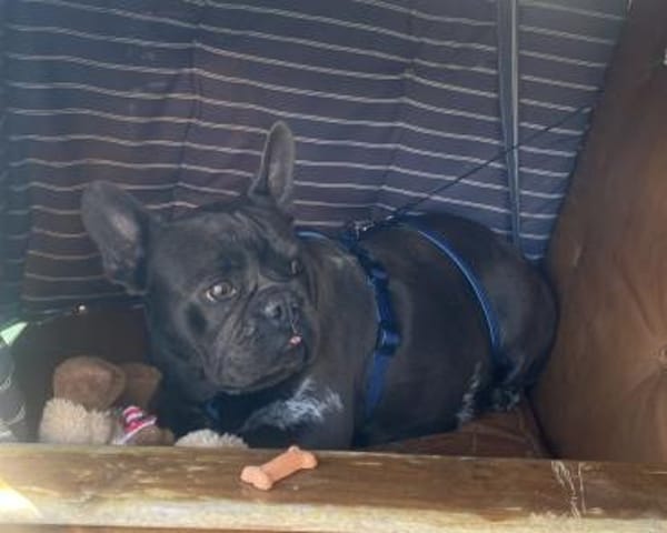 Zarina sucht ihren sicheren Hafen