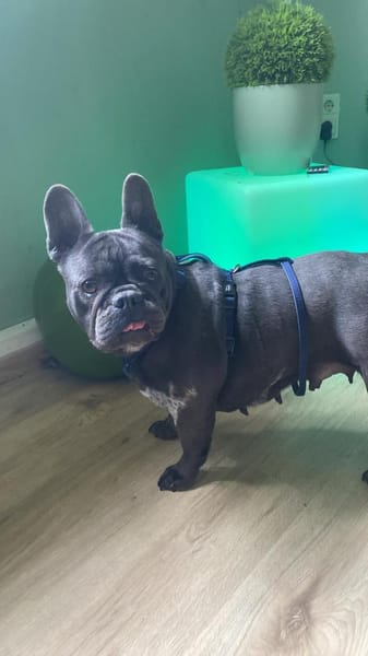 Zarina sucht ihren sicheren Hafen