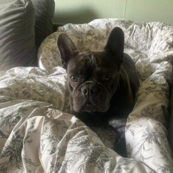 Zarina sucht ihren sicheren Hafen