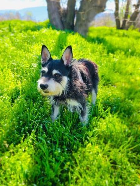 Darko einfach nur lieb