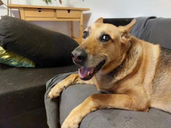 Chiara 🍀Altersruhesitz gesucht