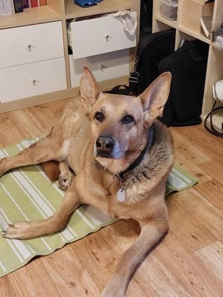 Chiara 🍀Altersruhesitz gesucht