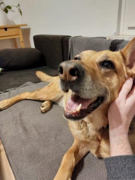 Chiara 🍀Altersruhesitz gesucht