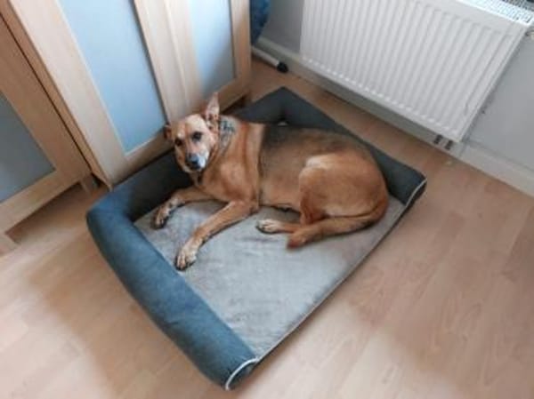 Chiara 🍀Altersruhesitz gesucht