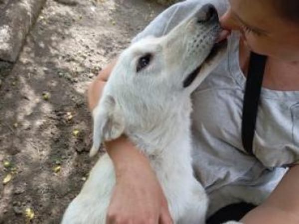 Tortulino 55 cm (Pflegestelle)