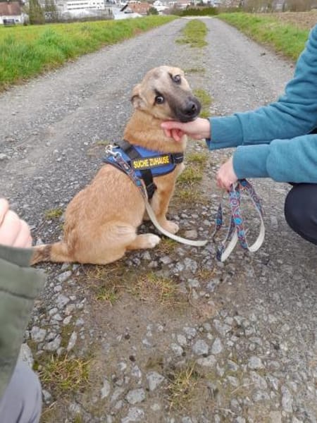 Fritz  Wirbelwind mit großem Herz