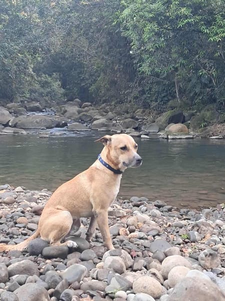 AÏKO la douceur des îles