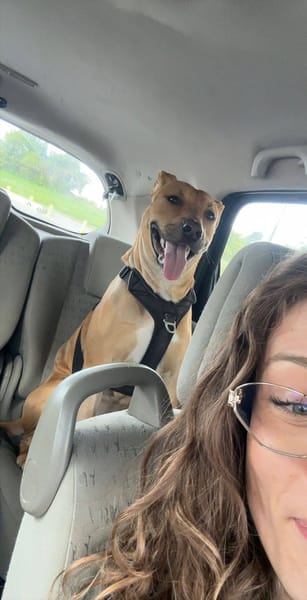 Newis, Mâle, X Berger, né le 15/06/2025