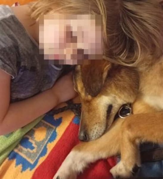 Milow  ein absoluter Herzenshund