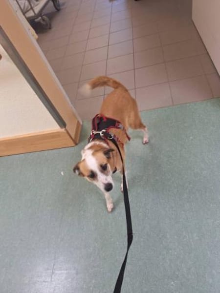 DARCY ist ein liebevolles Mädchen ♥