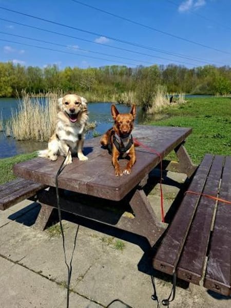Vom schüchternen Gast zum  Entdecker