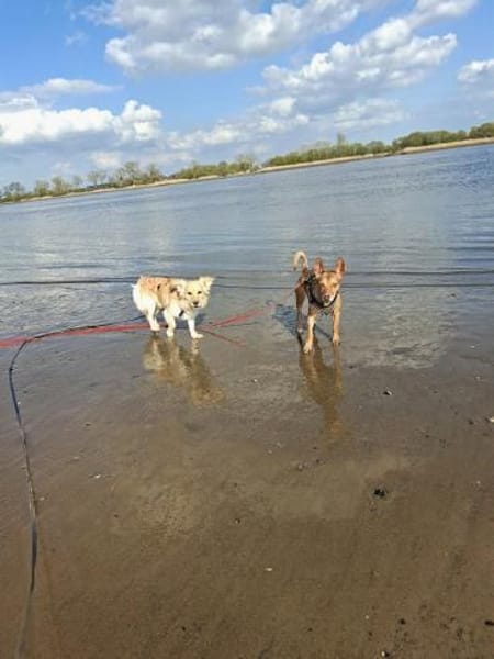 Vom schüchternen Gast zum  Entdecker