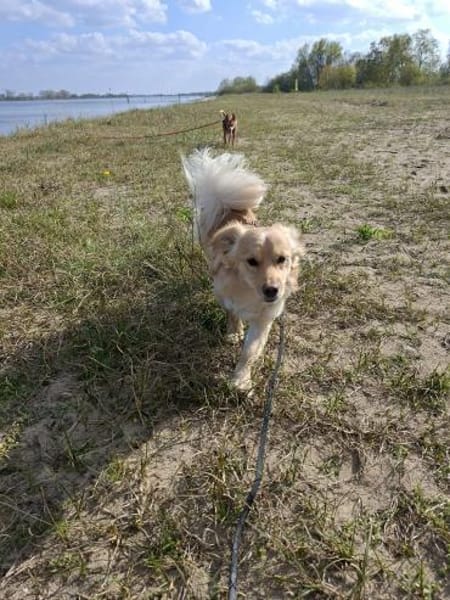 Vom schüchternen Gast zum  Entdecker