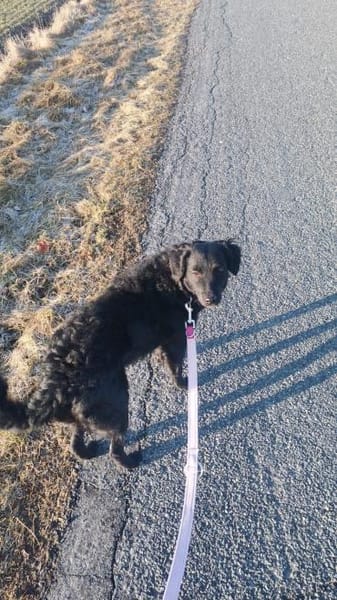 Anni  sucht ihre Familie